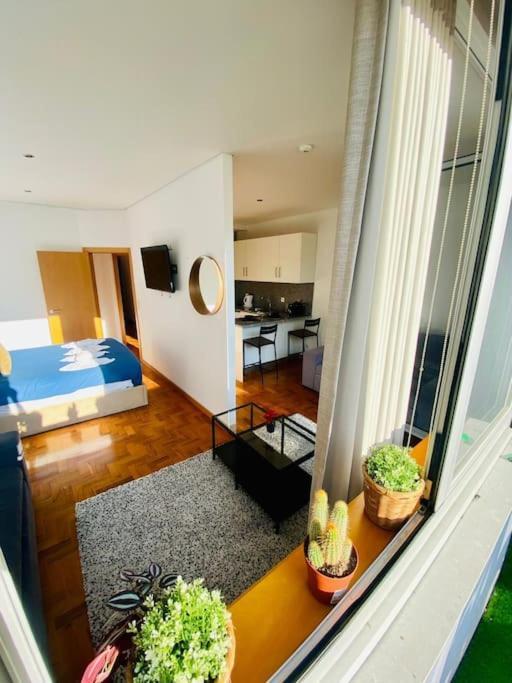 Beautiful Flats In The Best Location Apartamento